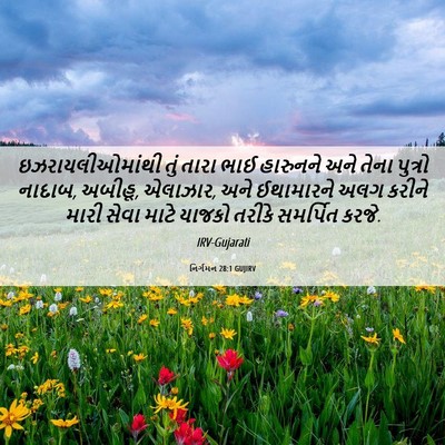Picture 06 - નિર્ગમન 28:1 GUJIRV - ઇઝરાયલીઓમાંથી તું - Bible Verse Picture