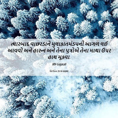 Picture 06 - નિર્ગમન 29:10 GUJIRV - ત્યારબાદ વાછરડાને - Bible Verse Picture