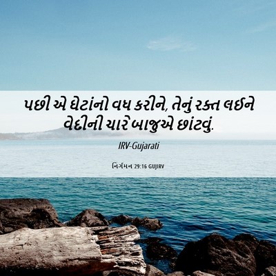 Picture 06 - નિર્ગમન 29:16 GUJIRV - પછી એ ઘેટાંનો વધ - Bible Verse Picture