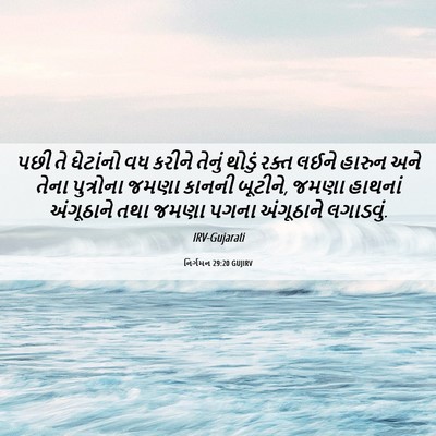 Picture 06 - નિર્ગમન 29:20 GUJIRV - પછી તે ઘેટાંનો વધ - Bible Verse Picture
