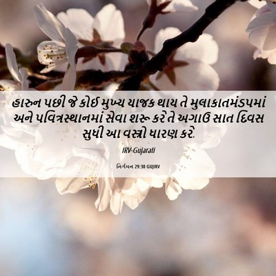 Picture 06 - નિર્ગમન 29:30 GUJIRV - હારુન પછી જે કોઈ - Bible Verse Picture