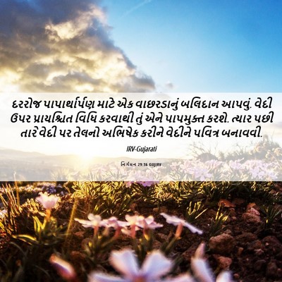 Picture 06 - નિર્ગમન 29:36 GUJIRV - દરરોજ - Bible Verse Picture