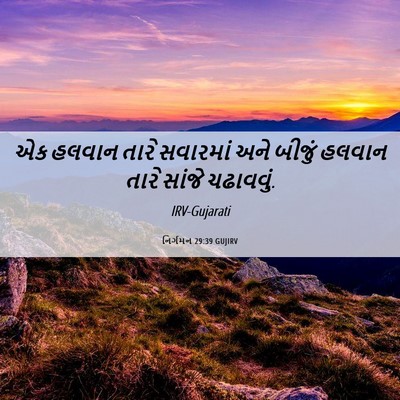 Picture 06 - નિર્ગમન 29:39 GUJIRV - એક હલવાન તારે - Bible Verse Picture