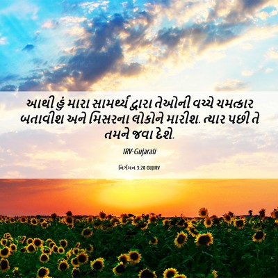 Picture 06 - નિર્ગમન 3:20 GUJIRV - આથી હું મારા - Bible Verse Picture