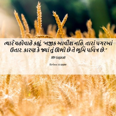 Picture 06 - નિર્ગમન 3:5 GUJIRV - ત્યારે યહોવાહે - Bible Verse Picture