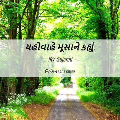 Picture 06 - નિર્ગમન 30:17 GUJIRV - યહોવાહે મૂસાને - Bible Verse Picture