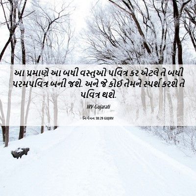 Picture 06 - નિર્ગમન 30:29 GUJIRV - આ પ્રમાણે આ બધી - Bible Verse Picture