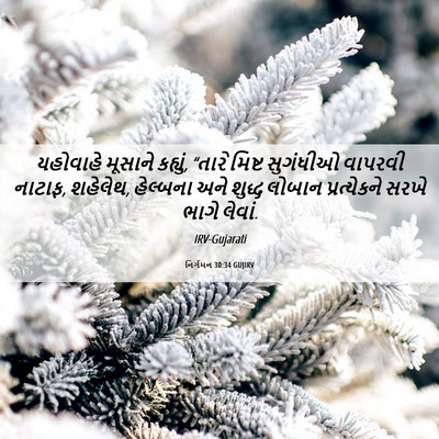 Picture 06 - નિર્ગમન 30:34 GUJIRV - યહોવાહે મૂસાને - Bible Verse Picture