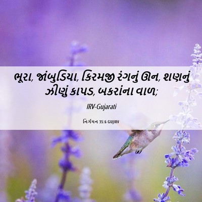 Picture 06 - નિર્ગમન 35:6 GUJIRV - ભૂરા, જાંબુડિયા, - Bible Verse Picture
