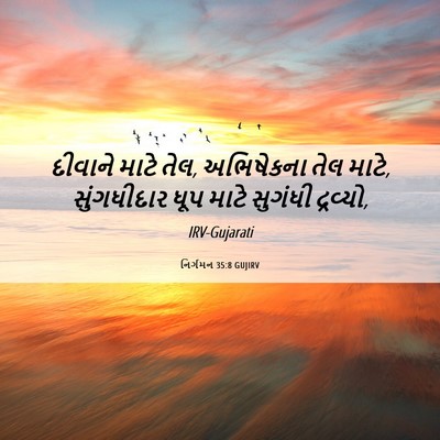 Picture 06 - નિર્ગમન 35:8 GUJIRV - દીવાને માટે તેલ, - Bible Verse Picture