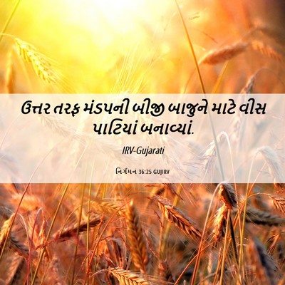 Picture 06 - નિર્ગમન 36:25 GUJIRV - ઉત્તર તરફ મંડપની - Bible Verse Picture