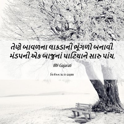 Picture 06 - નિર્ગમન 36:31 GUJIRV - તેણે બાવળના - Bible Verse Picture