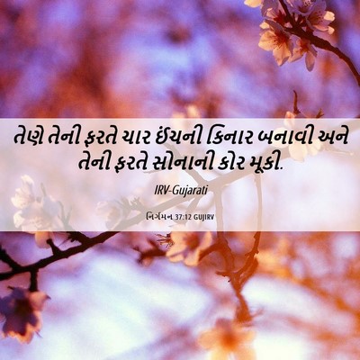 Picture 06 - નિર્ગમન 37:12 GUJIRV - તેણે તેની ફરતે ચાર - Bible Verse Picture