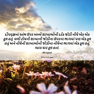 Picture 06 - નિર્ગમન 37:21 GUJIRV - દીપવૃક્ષનાં સ્તંભ - Bible Verse Picture