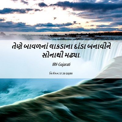 Picture 06 - નિર્ગમન 37:28 GUJIRV - તેણે બાવળનાં - Bible Verse Picture