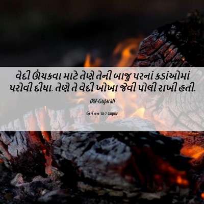 Picture 06 - નિર્ગમન 38:7 GUJIRV - વેદી ઊંચકવા માટે - Bible Verse Picture