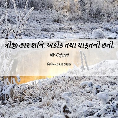 Picture 06 - નિર્ગમન 39:12 GUJIRV - ત્રીજી હાર શનિ, - Bible Verse Picture