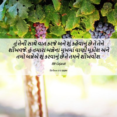 Picture 06 - નિર્ગમન 4:15 GUJIRV - તું તેની સાથે વાત - Bible Verse Picture