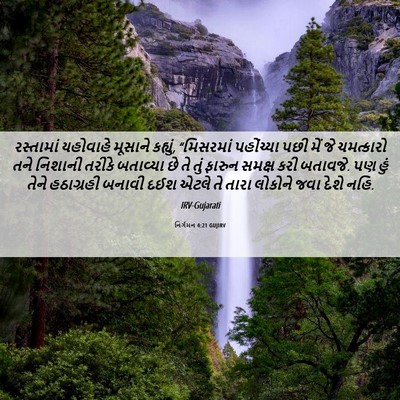 Picture 06 - નિર્ગમન 4:21 GUJIRV - રસ્તામાં યહોવાહે - Bible Verse Picture
