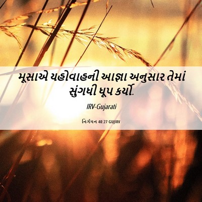 Picture 06 - નિર્ગમન 40:27 GUJIRV - મૂસાએ યહોવાહની - Bible Verse Picture