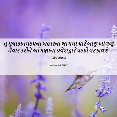 Picture 06 - નિર્ગમન 40:8 GUJIRV - તું મુલાકાતમંડપના - Bible Verse Picture
