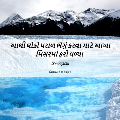 Picture 06 - નિર્ગમન 5:12 GUJIRV - આથી લોકો પરાળ - Bible Verse Picture