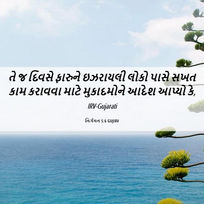 Picture 06 - નિર્ગમન 5:6 GUJIRV - તે જ દિવસે ફારુને - Bible Verse Picture
