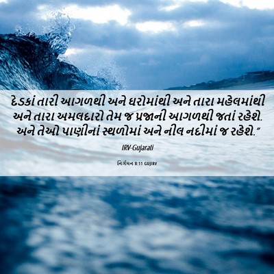 Picture 06 - નિર્ગમન 8:11 GUJIRV - દેડકાં તારી આગળથી - Bible Verse Picture
