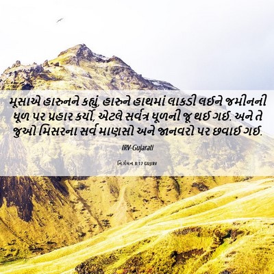 Picture 06 - નિર્ગમન 8:17 GUJIRV - મૂસાએ હારુનને - Bible Verse Picture