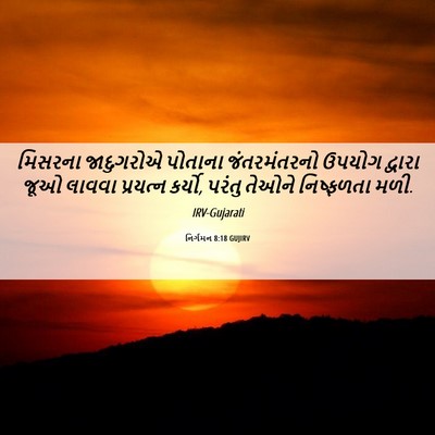 Picture 06 - નિર્ગમન 8:18 GUJIRV - મિસરના જાદુગરોએ - Bible Verse Picture