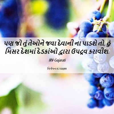 Picture 06 - નિર્ગમન 8:2 GUJIRV - પણ જો તું તેઓને જવા - Bible Verse Picture
