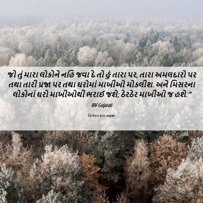 Picture 06 - નિર્ગમન 8:21 GUJIRV - જો તું મારા લોકોને - Bible Verse Picture