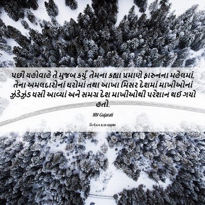 Picture 06 - નિર્ગમન 8:24 GUJIRV - પછી યહોવાહે તે - Bible Verse Picture