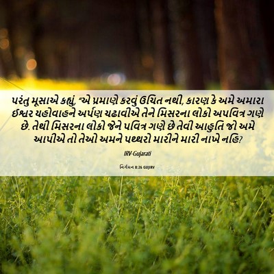 Picture 06 - નિર્ગમન 8:26 GUJIRV - પરંતુ મૂસાએ - Bible Verse Picture