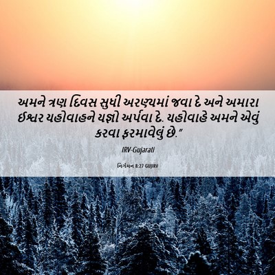 Picture 06 - નિર્ગમન 8:27 GUJIRV - અમને ત્રણ દિવસ - Bible Verse Picture