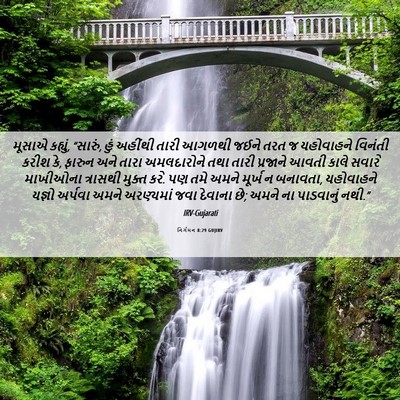 Picture 06 - નિર્ગમન 8:29 GUJIRV - મૂસાએ કહ્યું, - Bible Verse Picture
