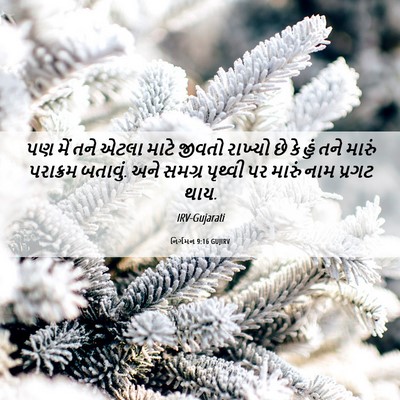 Picture 06 - નિર્ગમન 9:16 GUJIRV - પણ મેં તને એટલા - Bible Verse Picture