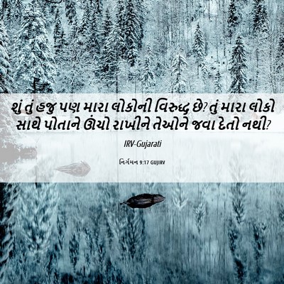 Picture 06 - નિર્ગમન 9:17 GUJIRV - શું તું હજુ પણ મારા - Bible Verse Picture