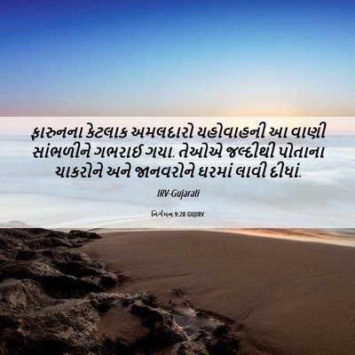 Picture 06 - નિર્ગમન 9:20 GUJIRV - ફારુનના કેટલાક - Bible Verse Picture