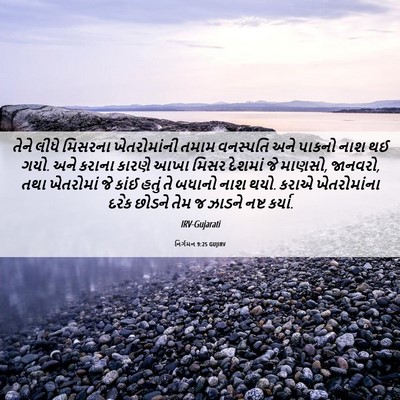 Picture 06 - નિર્ગમન 9:25 GUJIRV - તેને લીધે મિસરના - Bible Verse Picture