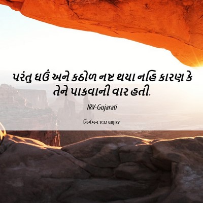 Picture 06 - નિર્ગમન 9:32 GUJIRV - પરંતુ ઘઉં અને કઠોળ - Bible Verse Picture