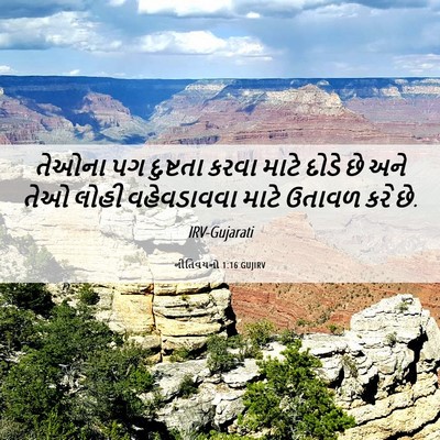 Picture 06 - નીતિવચનો 1:16 GUJIRV - તેઓના પગ દુષ્ટતા - Bible Verse Picture