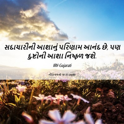 Picture 06 - નીતિવચનો 10:28 GUJIRV - સદાચારીની આશાનું - Bible Verse Picture