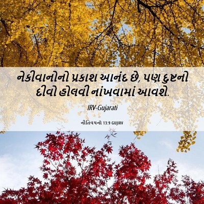 Picture 06 - નીતિવચનો 13:9 GUJIRV - નેકીવાનોનો પ્રકાશ - Bible Verse Picture