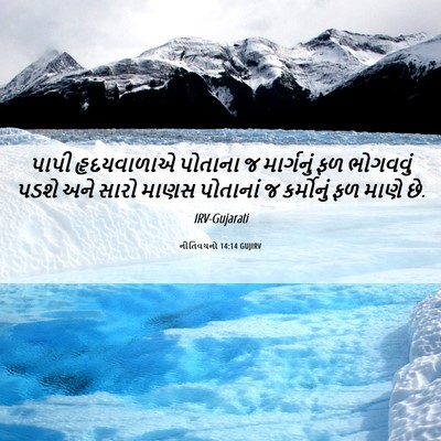 Picture 06 - નીતિવચનો 14:14 GUJIRV - પાપી હૃદયવાળાએ - Bible Verse Picture