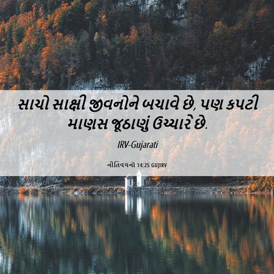 Picture 06 - નીતિવચનો 14:25 GUJIRV - સાચો સાક્ષી - Bible Verse Picture