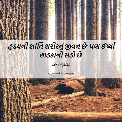 Picture 06 - નીતિવચનો 14:30 GUJIRV - હૃદયની શાંતિ - Bible Verse Picture