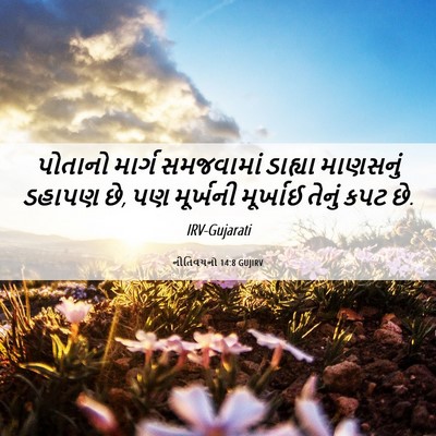Picture 06 - નીતિવચનો 14:8 GUJIRV - પોતાનો માર્ગ - Bible Verse Picture