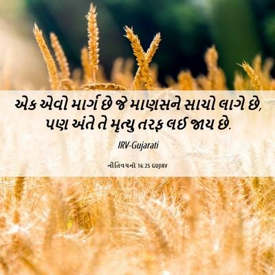 Picture 06 - નીતિવચનો 16:25 GUJIRV - એક એવો માર્ગ છે જે - Bible Verse Picture