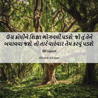 Picture 06 - નીતિવચનો 19:19 GUJIRV - ઉગ્ર ક્રોધીને - Bible Verse Picture